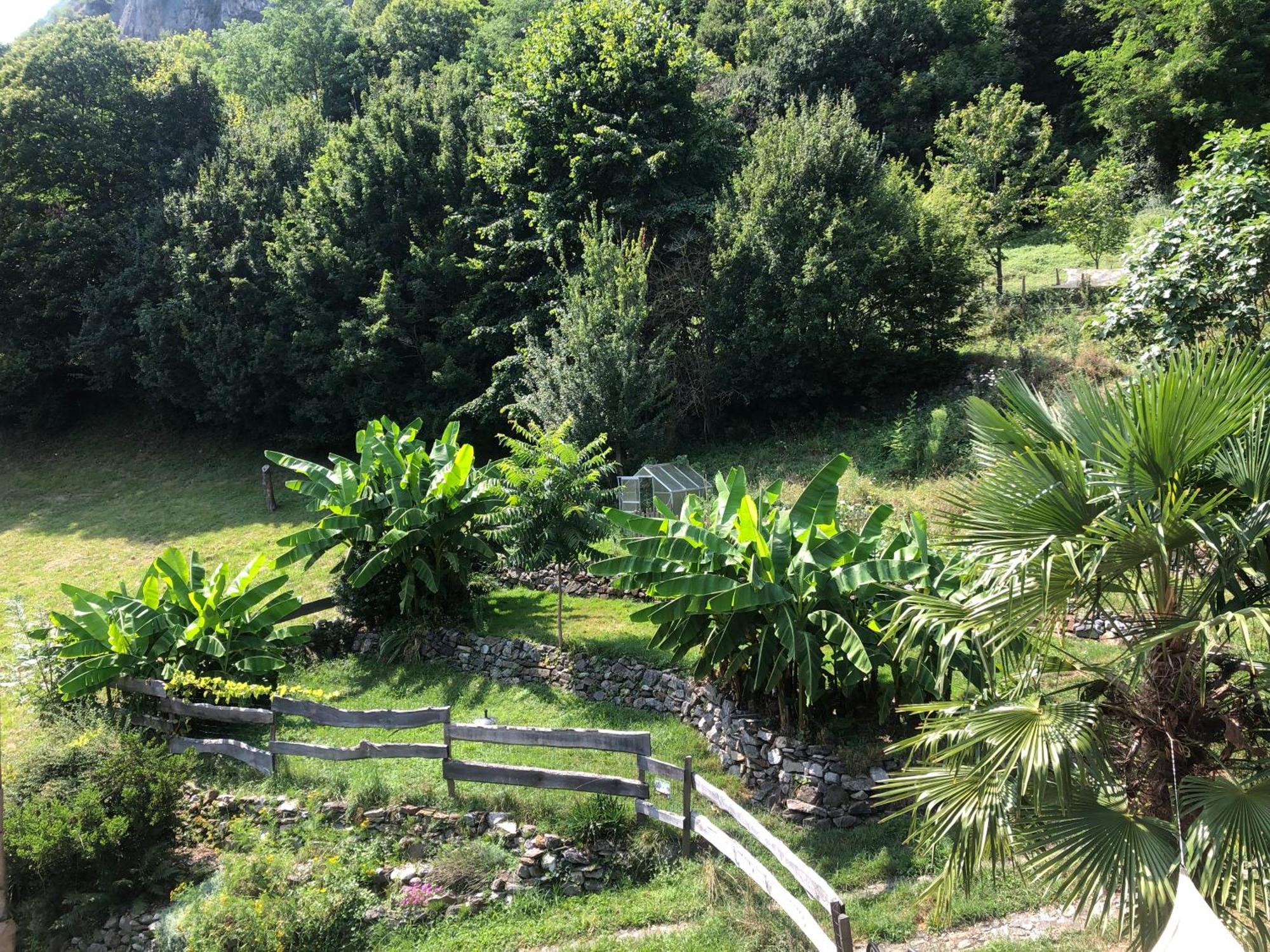 Apartment La Auarje: Avec Jardin & Terrasse Cierp
