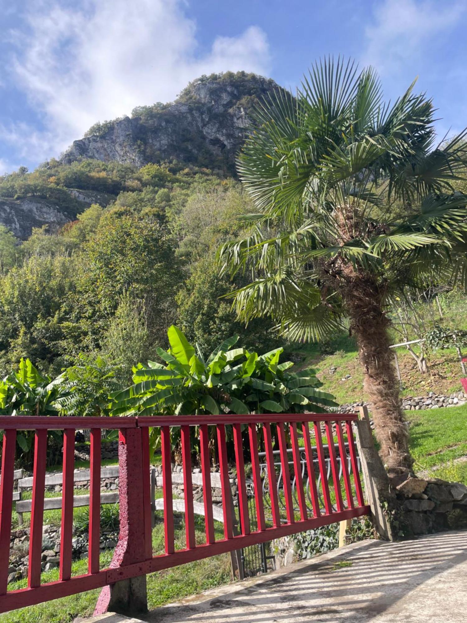 La Auarje: Avec Jardin & Terrasse *